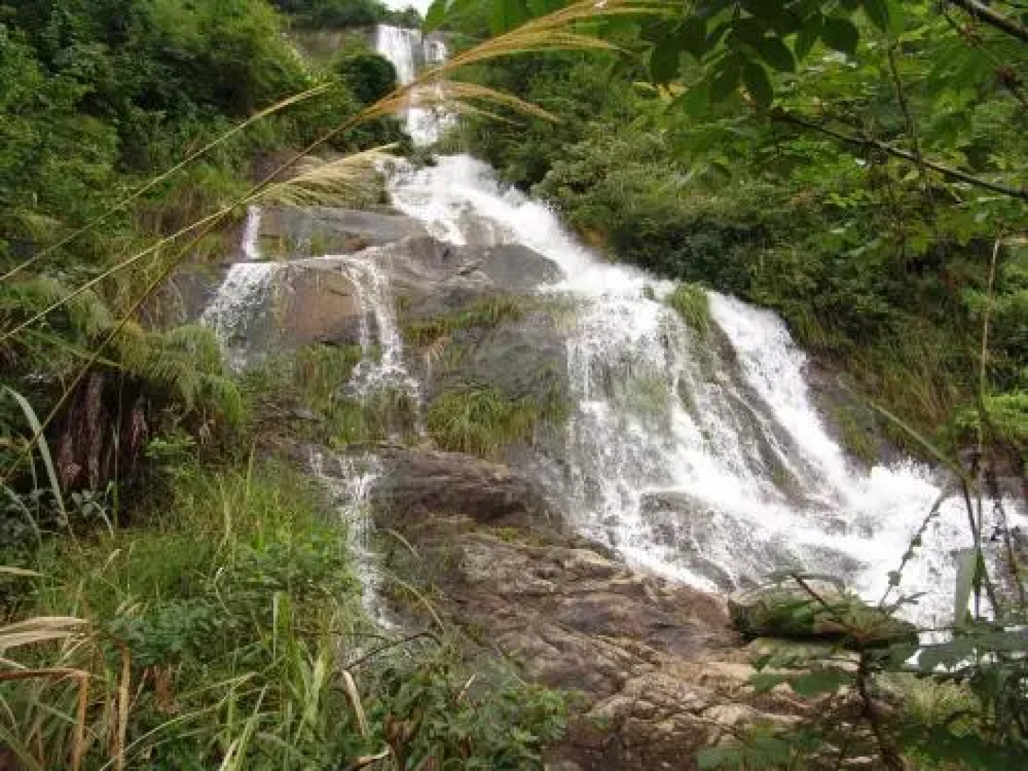 Sanqing Mountain Quanlin Farm Stay