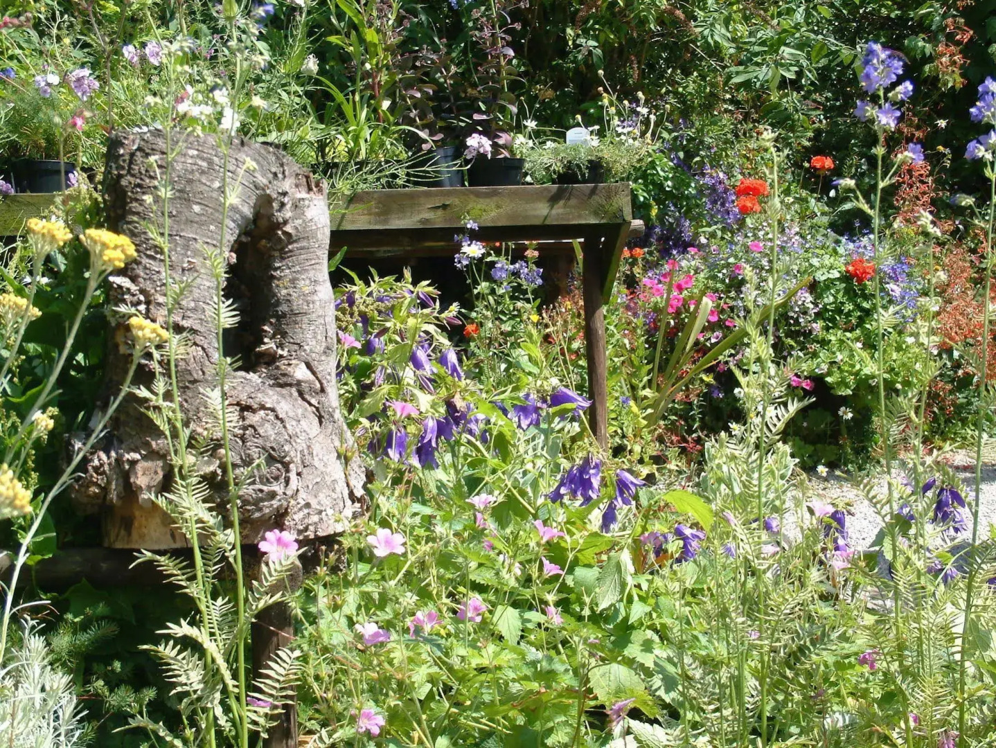 Seed Hill Guest House