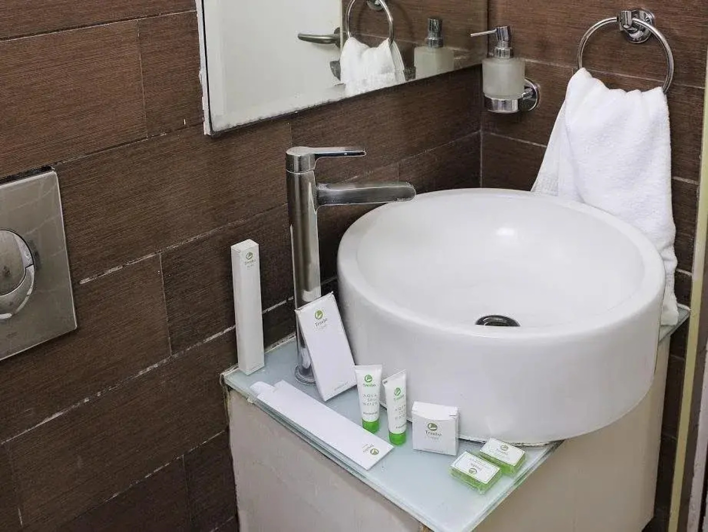 Flagship 479 By OYO Rooms