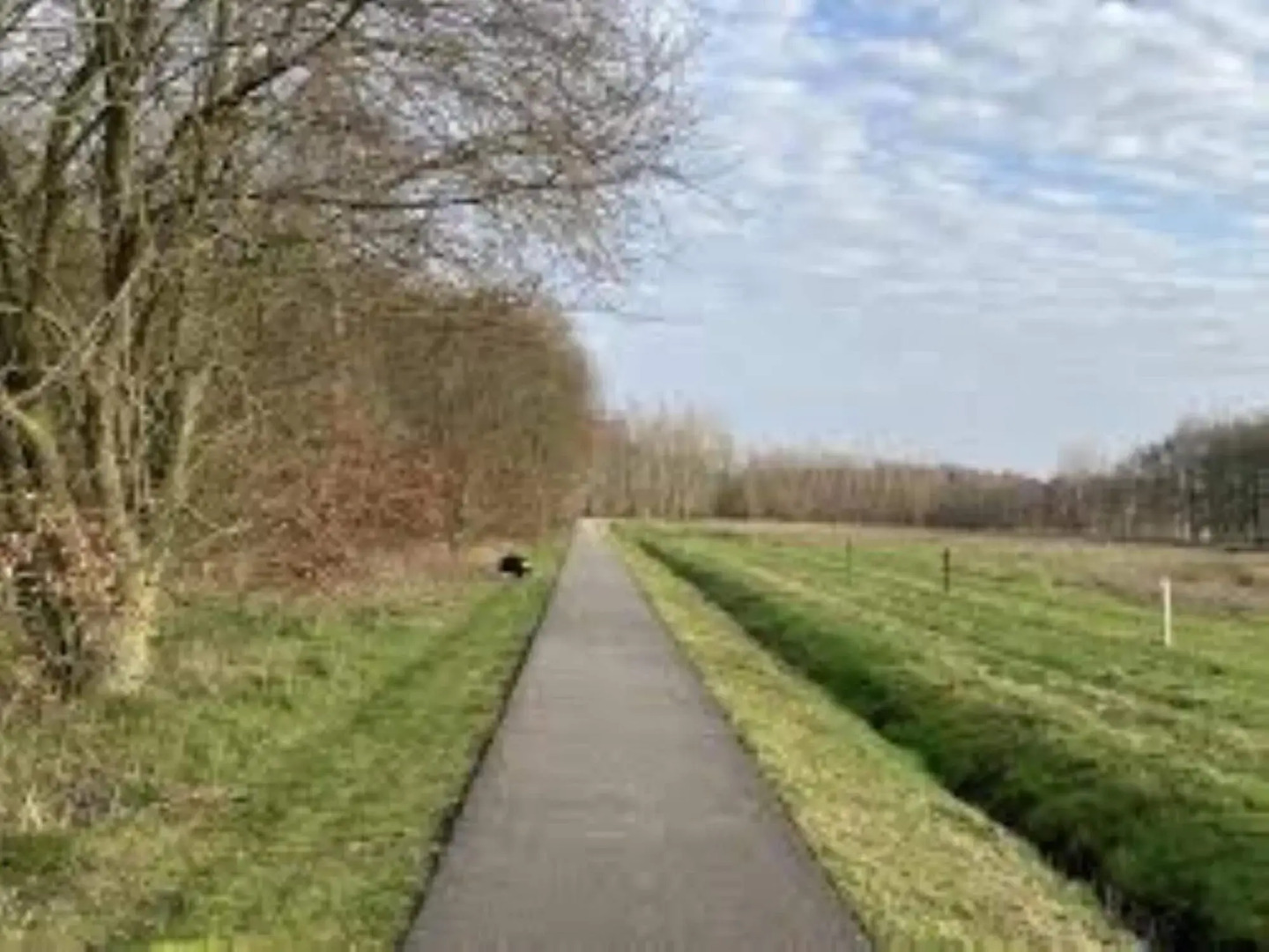 Unique Nature Lodge With Private Sauna and Unobstructed Views