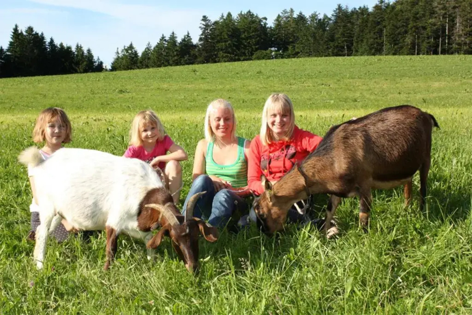 Schlosshof - der Urlaubsbauernhof