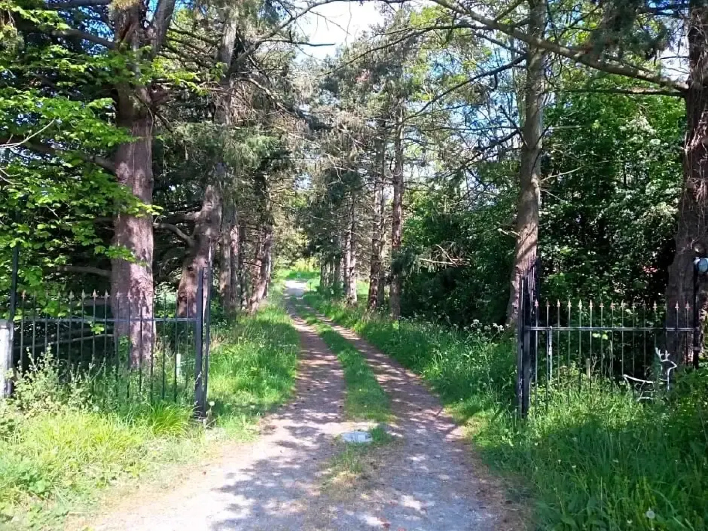 Le Chevalier des Marettes