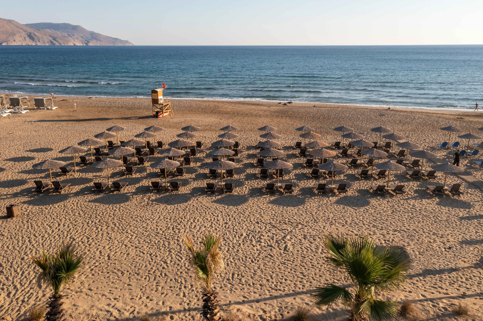 Delfina Tropic Beach