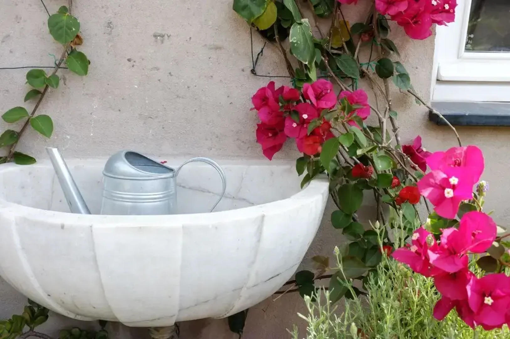 La Terrazza di Vico Olivi B&B