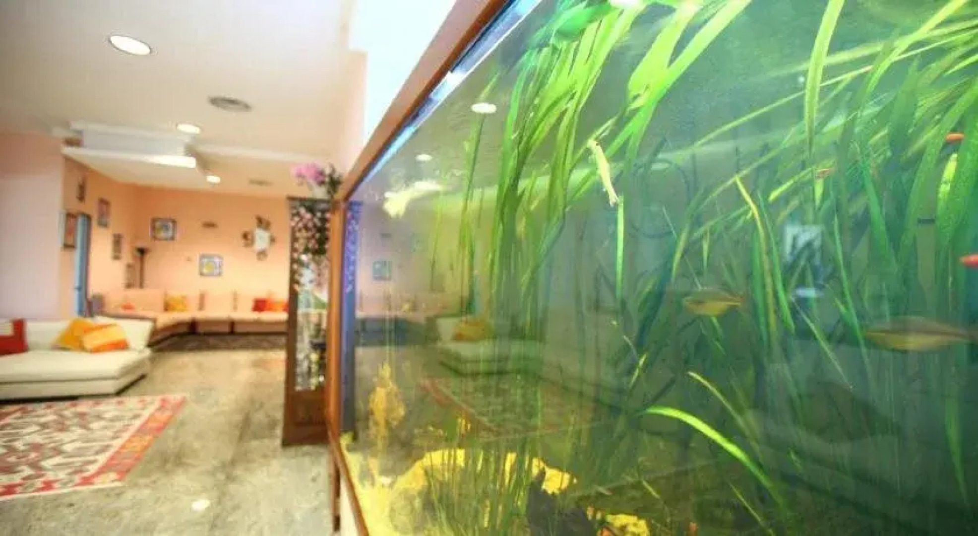 Hotel Acquario