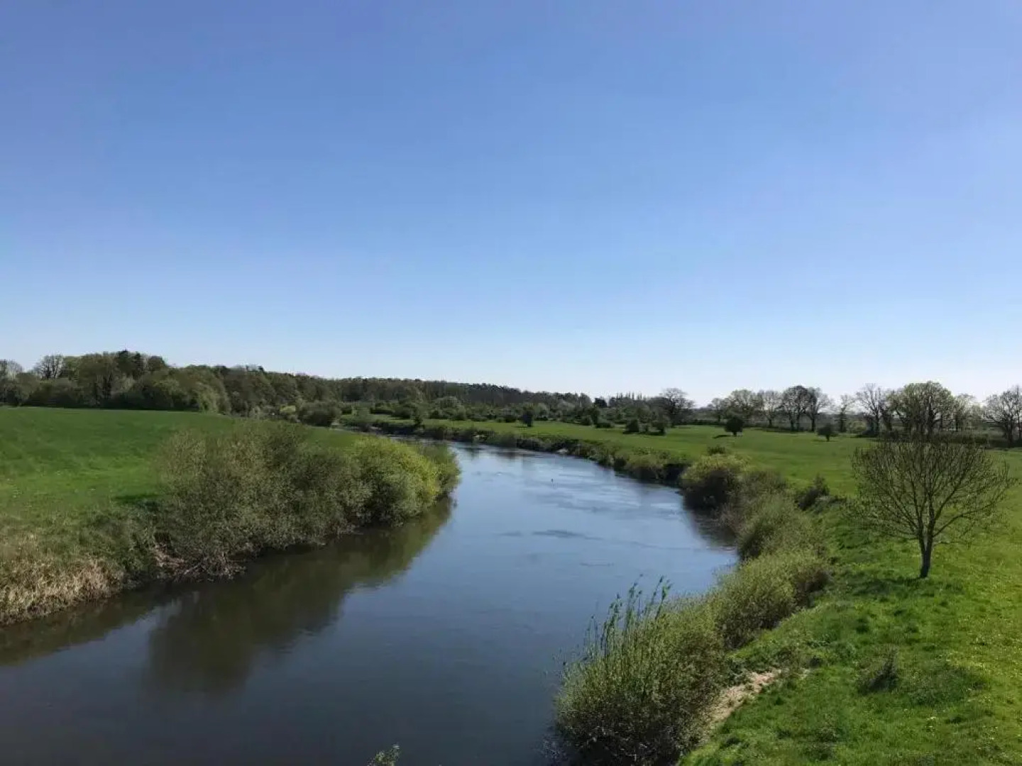 Zum-bothmerschen-Krug