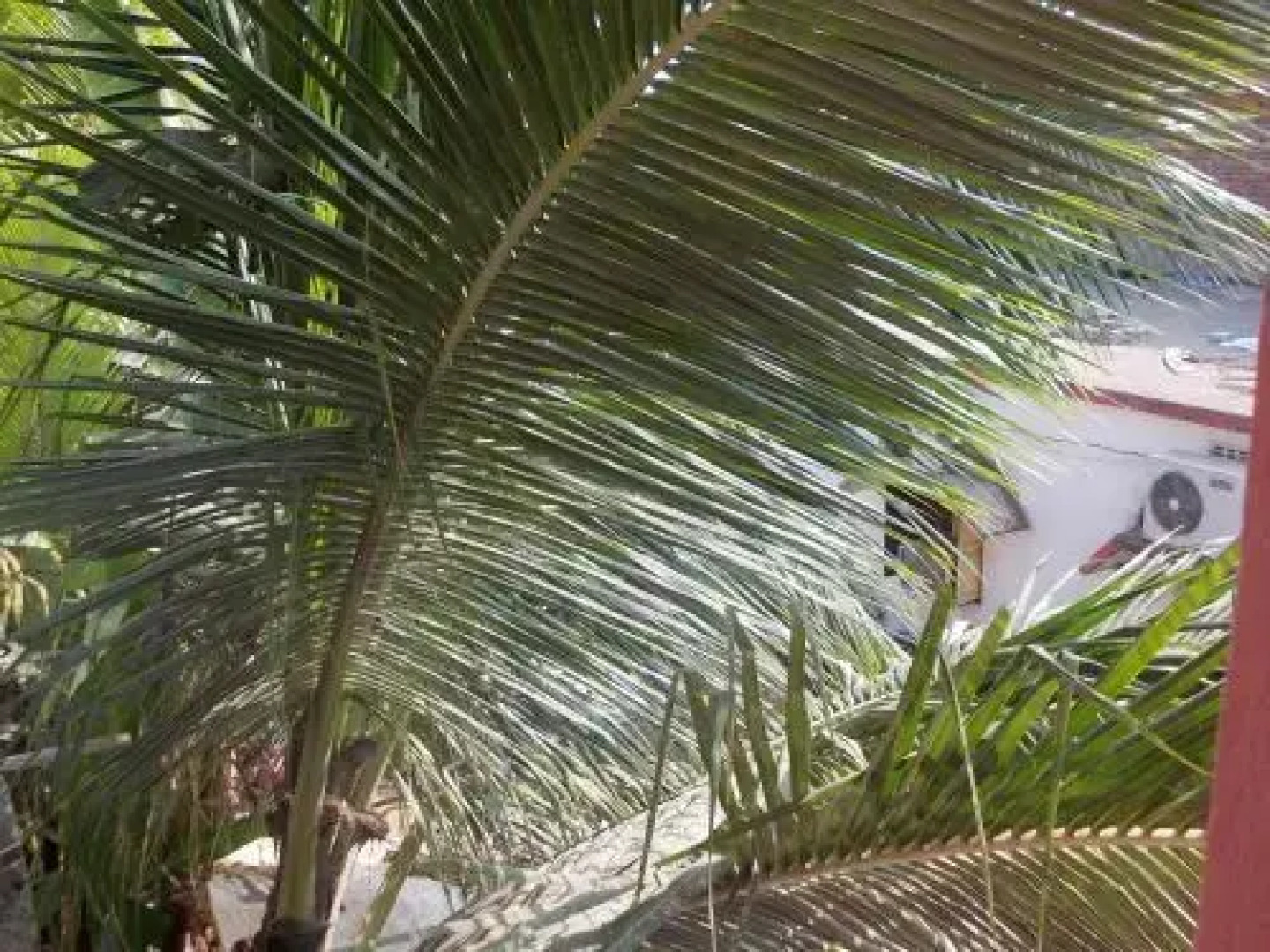 Sun Temple Hotel, Konark