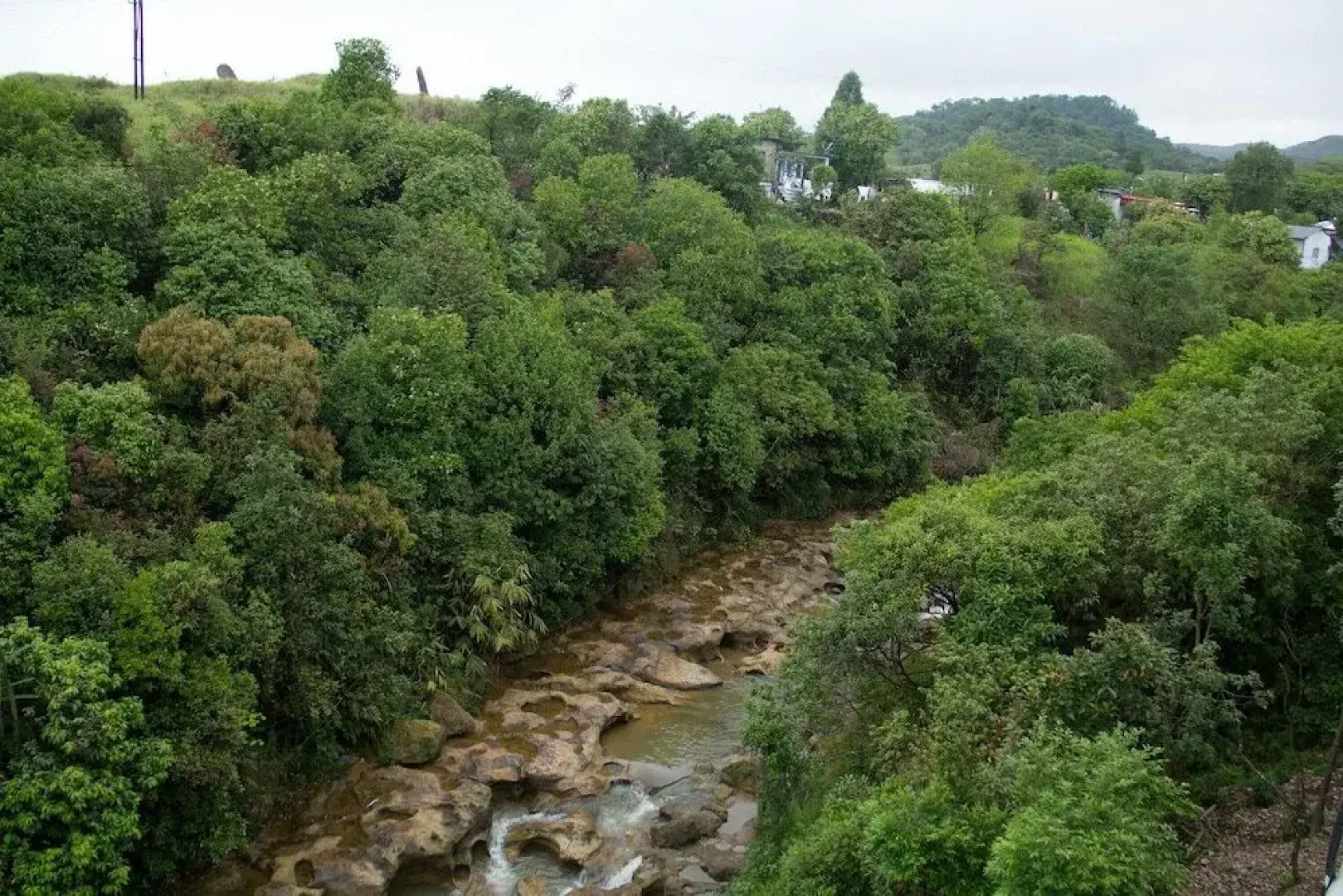 Pumpkin Cordial Lodge