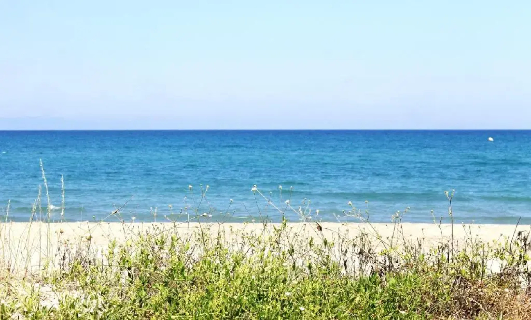 Appartement de 2 chambres avec piscine partagee et jardin clos a Sorbo Ocagnano a 4 km de la plage