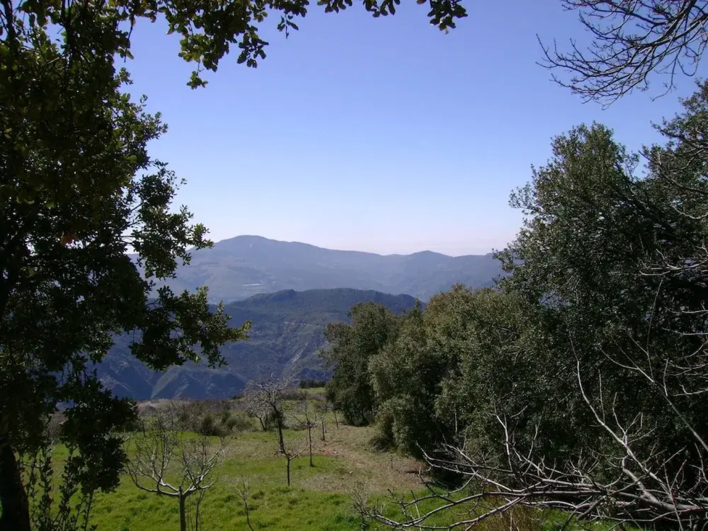 Enjoy Nature While Staying in a Small Complex With Common Pool