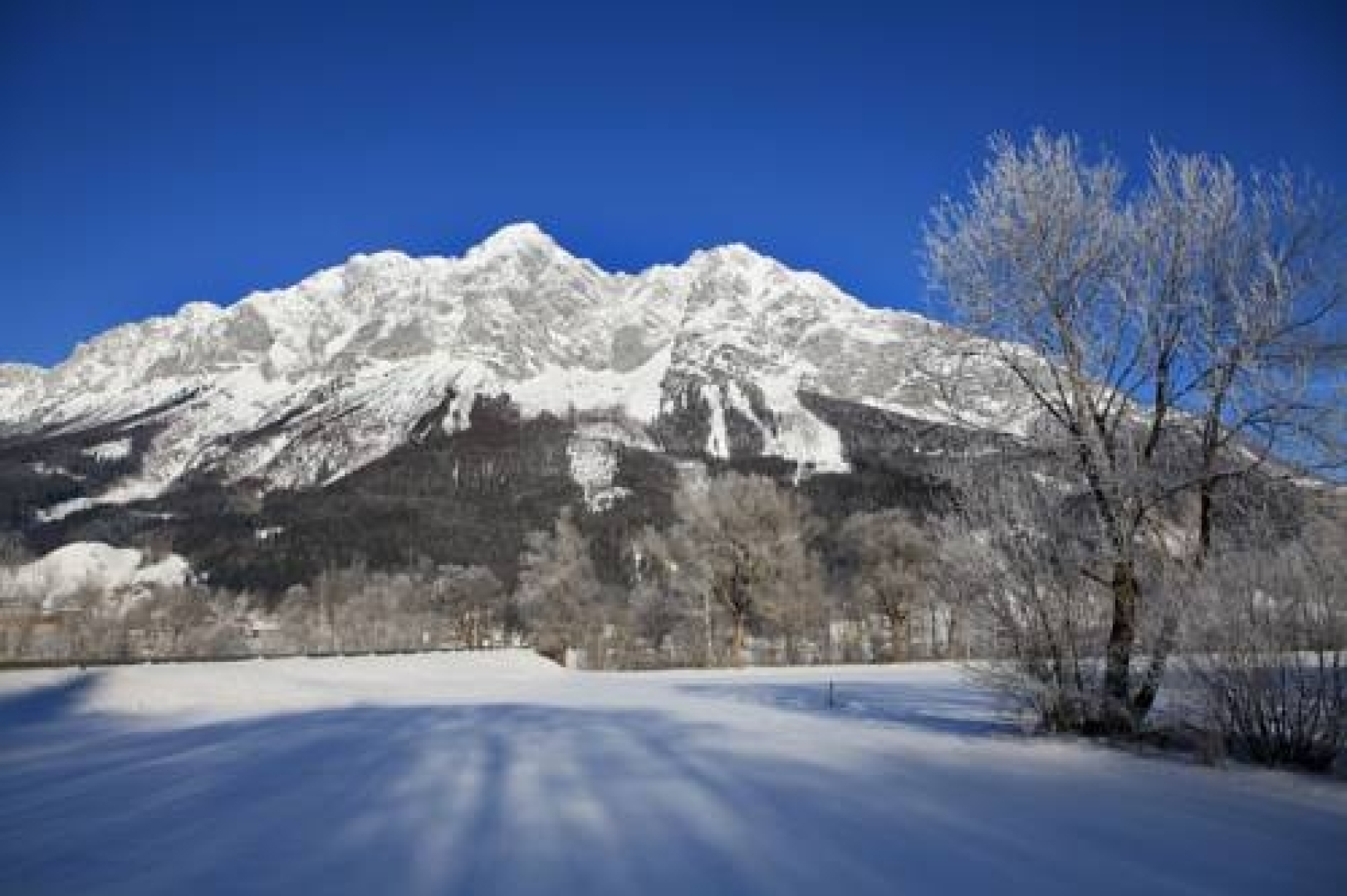 Feriendorf Salza - Ferienwohnungen