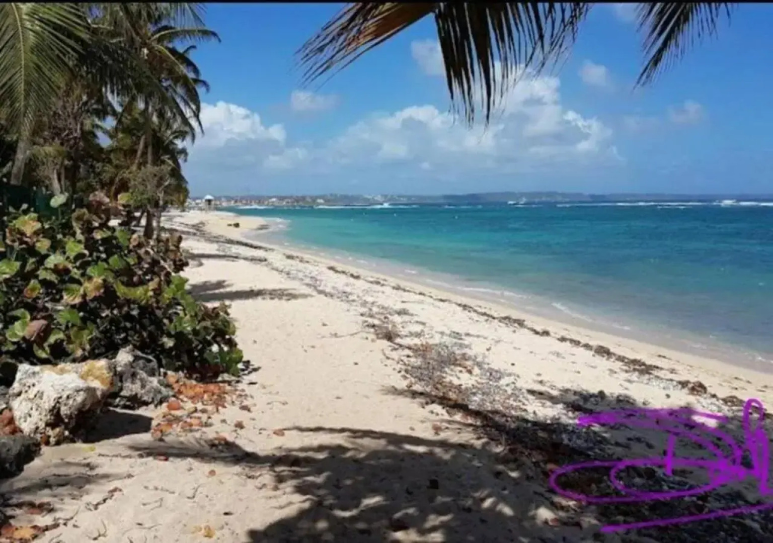 Super Studio en résidence face à la plage