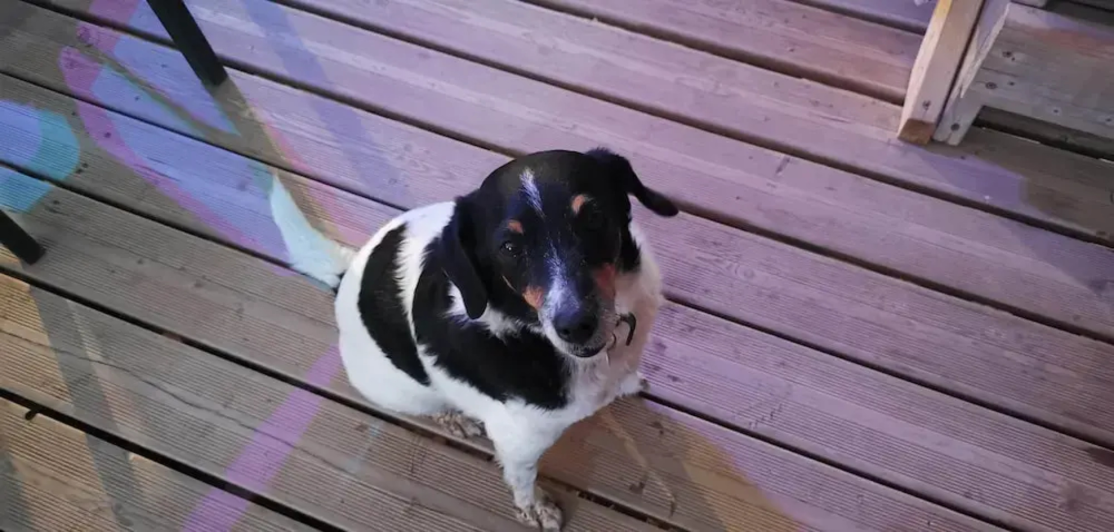 La Centenaire Gruissan