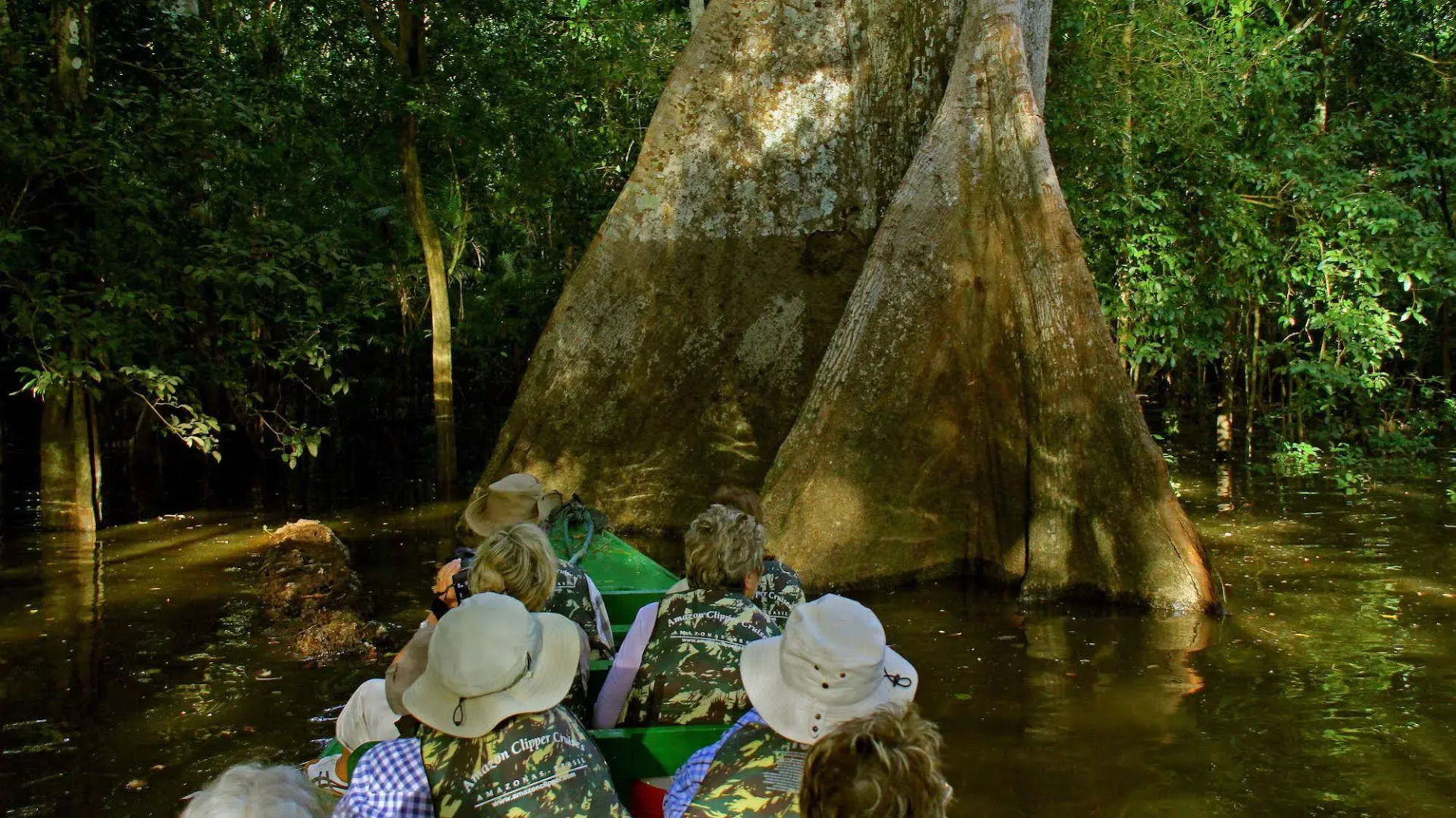 Amazon Clipper Premium