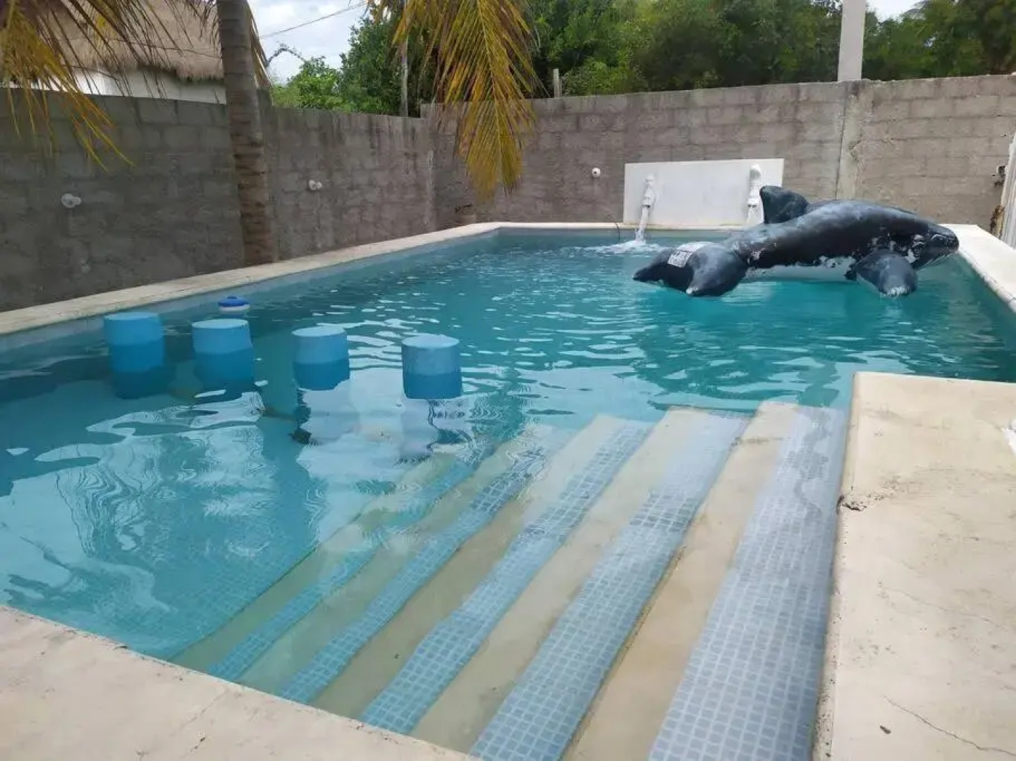 Casa M&P: Casa Amplia cerca del mar de Chelem