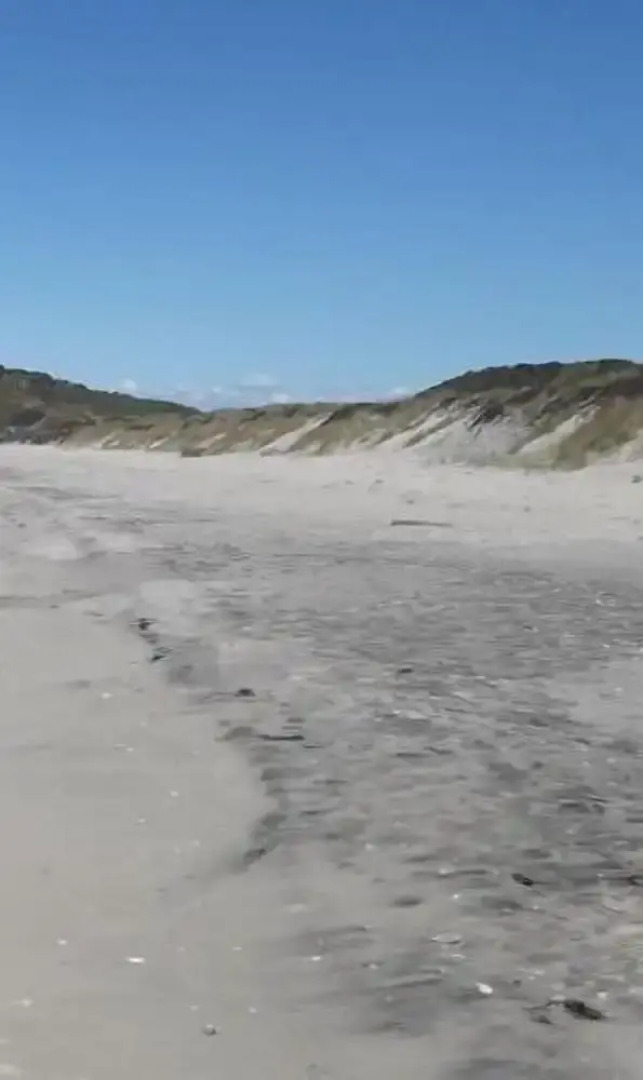 Kea Motel & Holiday Park