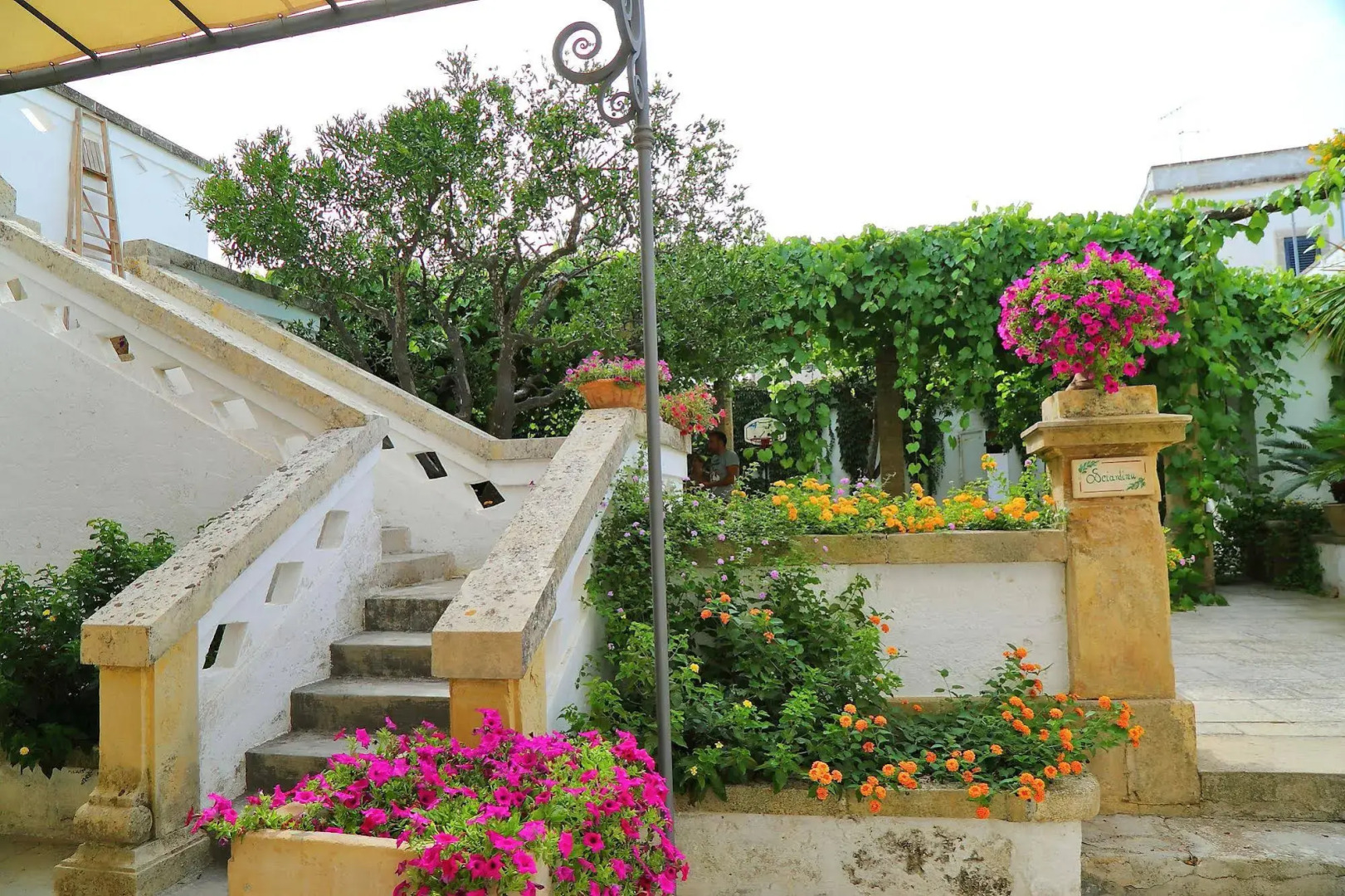 Trappitu dei Settimi