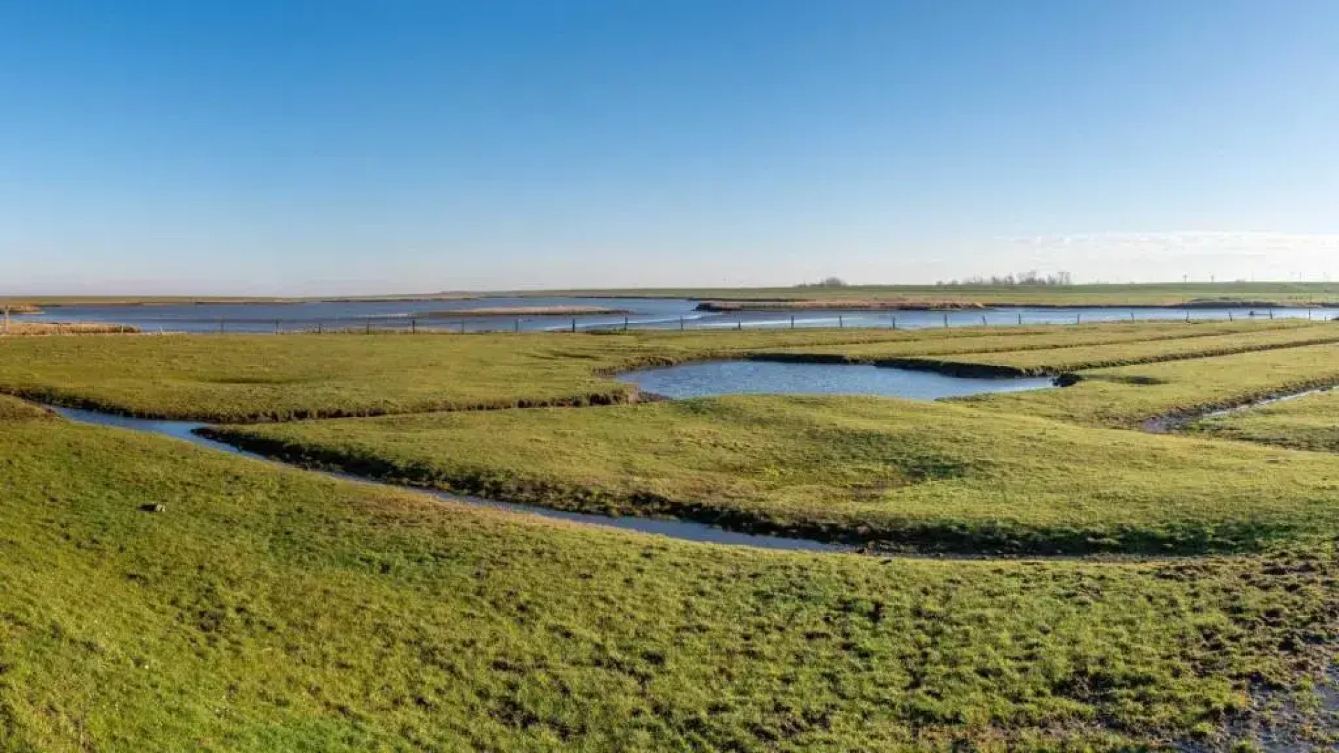 Ferienwohnung-Teekanne
