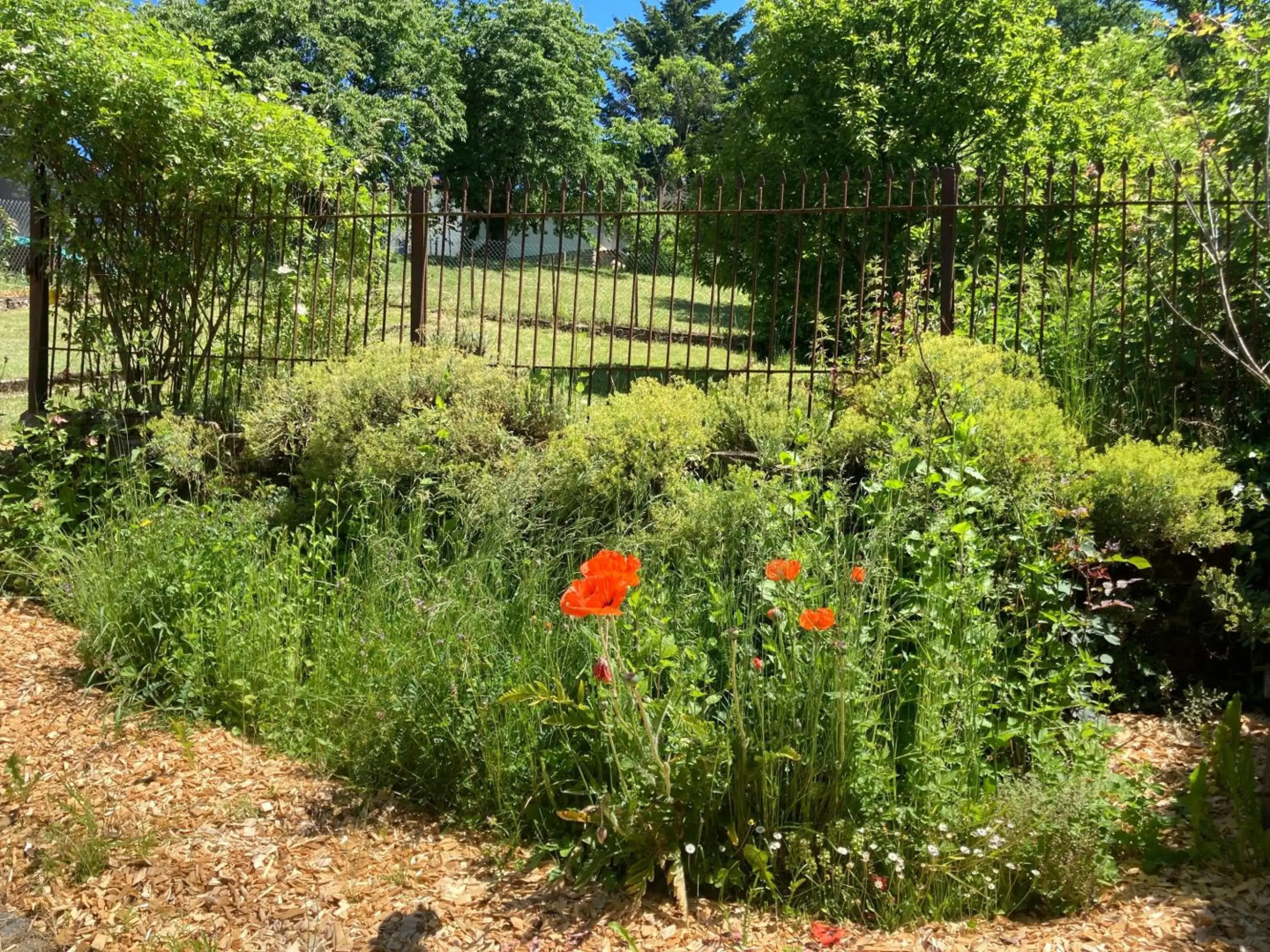 Luxe, landelijke vakantiewoning Duitsland-Sankt Wendel