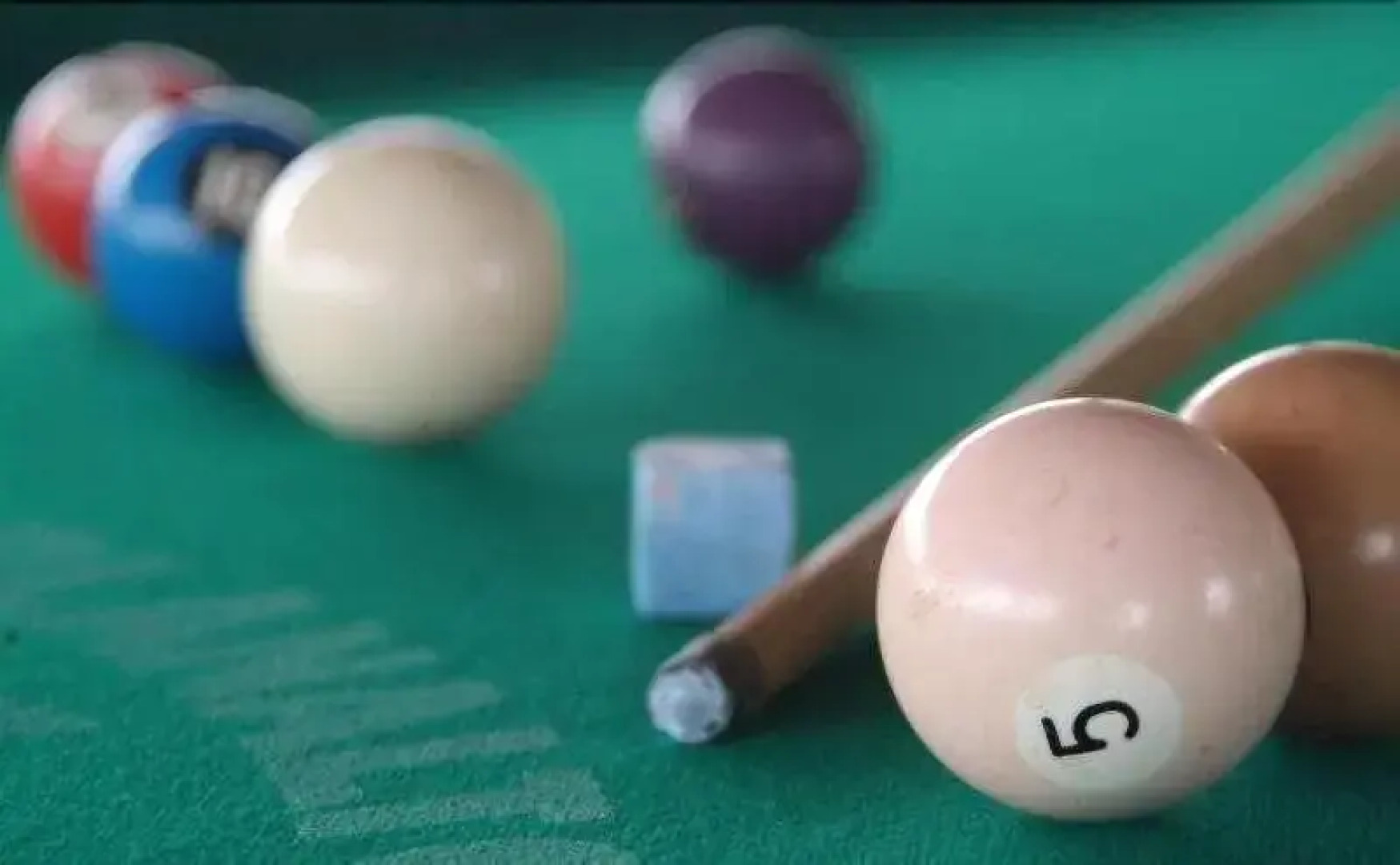 Hotel Tropical Garden