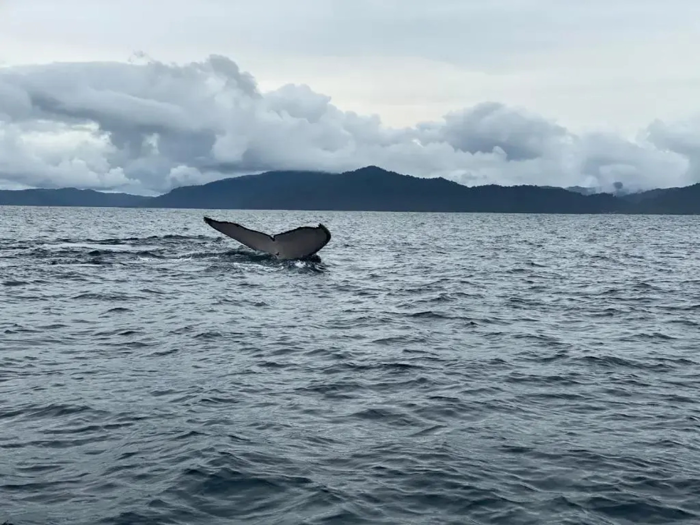 Posada Rocas de Cabo Marzo