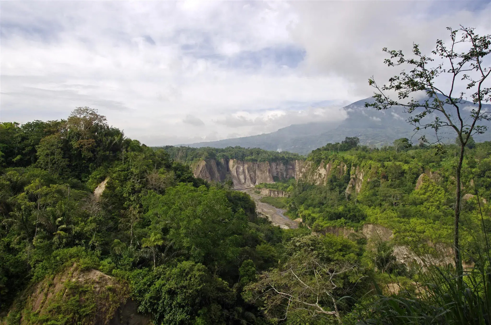Grand Gallery Hotel Bukittinggi