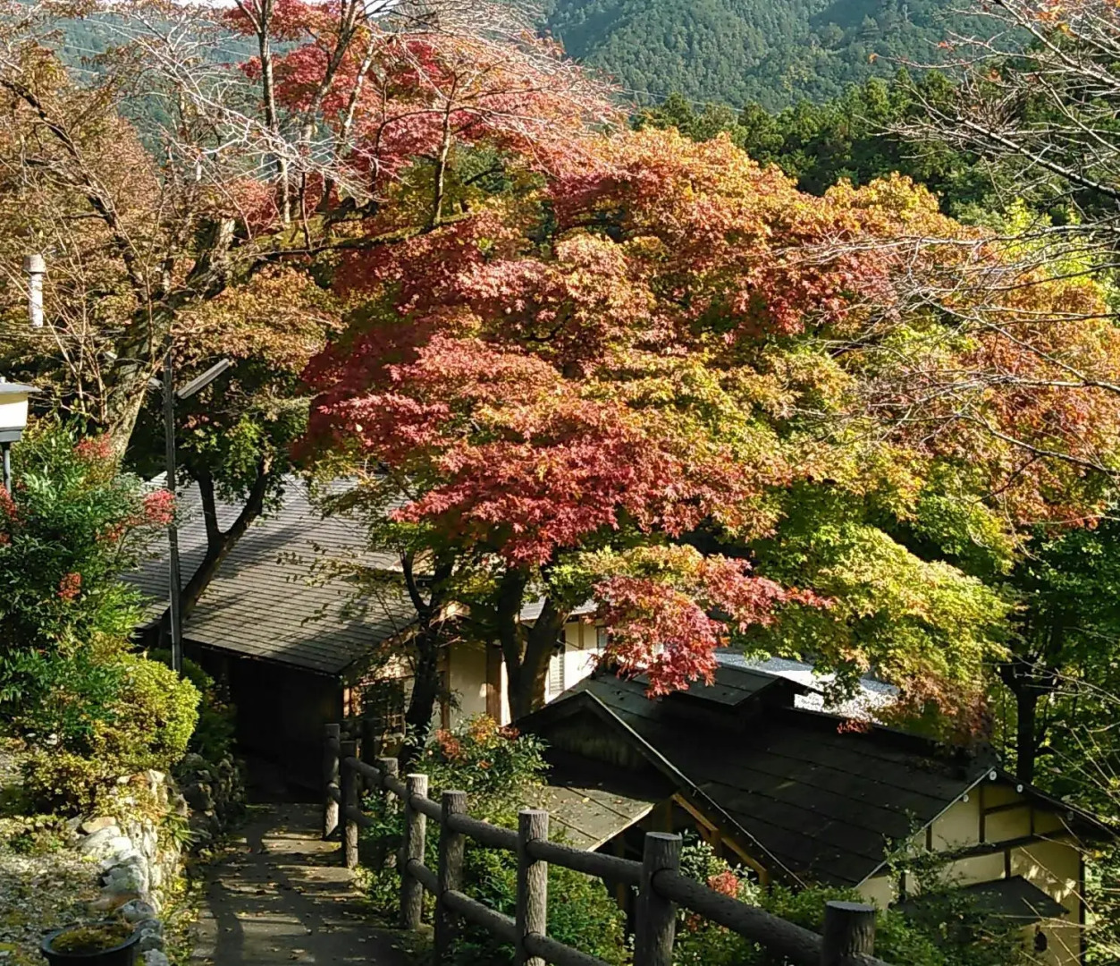 Matsuno Onsen Suikoen