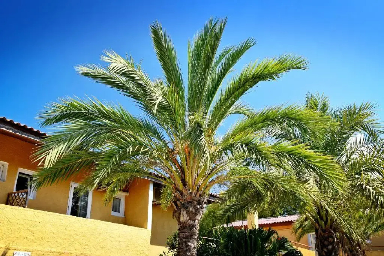 Camping & Résidence Les Castors