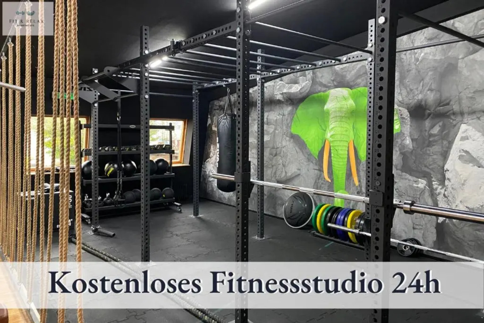 Fit-Relax Apartments Meersburg mit eigenem Sportstudio
