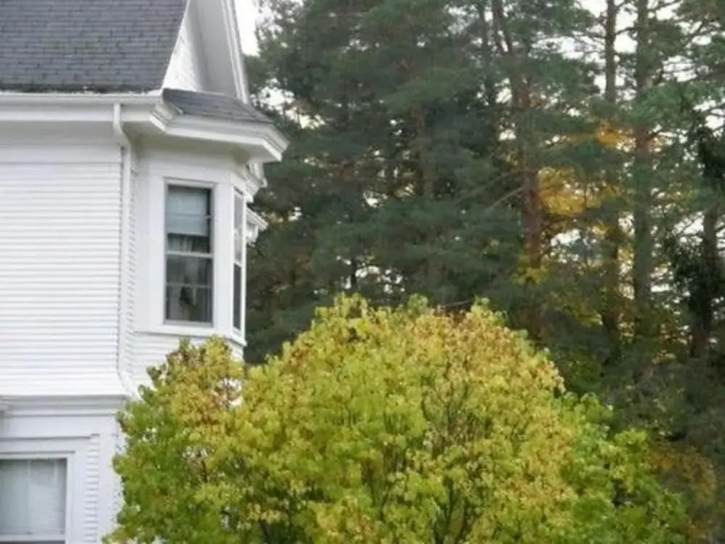 Lindsay House Bed and Breakfast