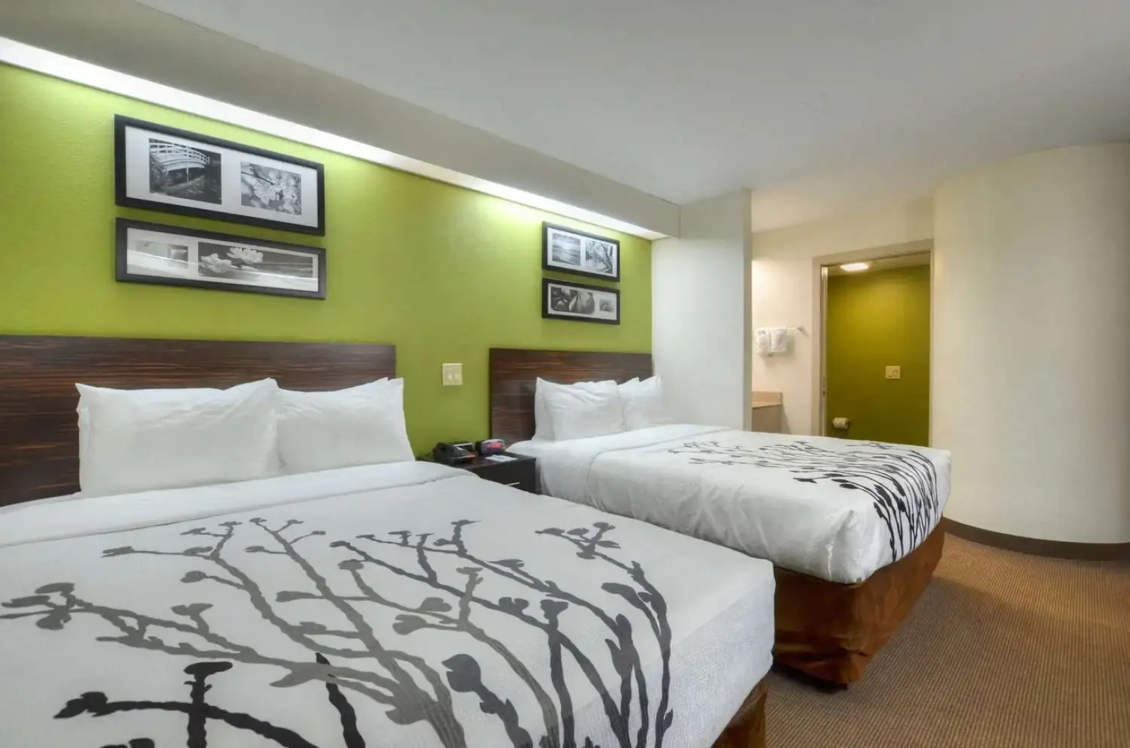 Sleep Inn Bryson City - Cherokee Area