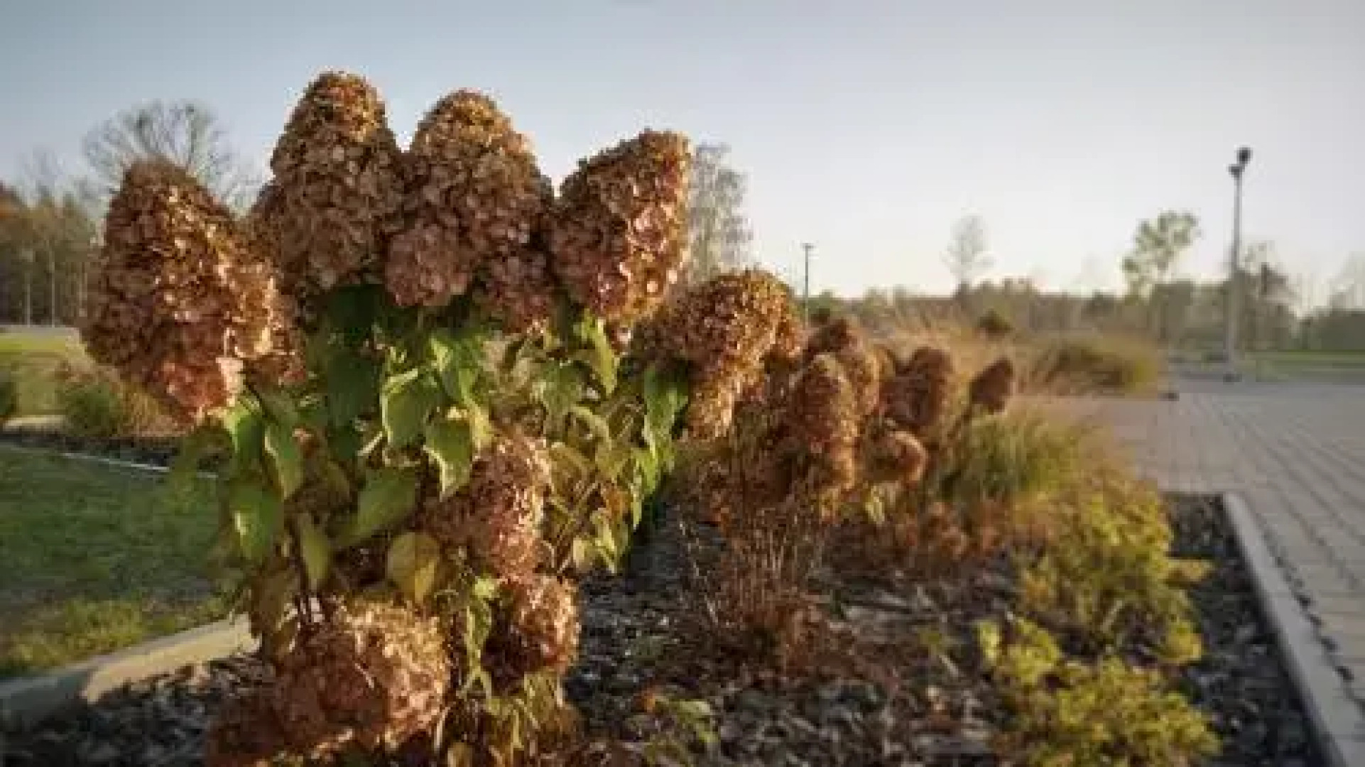 Dom Gościnny Jordan