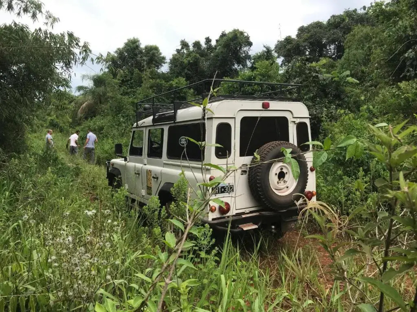 La Mision Mocona - Lodge de Selva