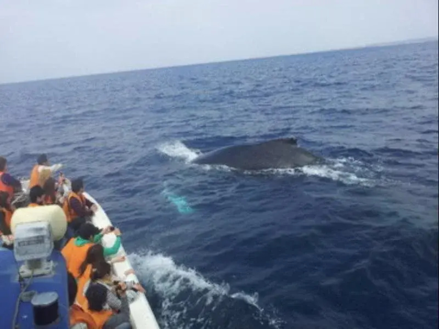 OKINAWA MOTOBU GUESTHOUSE - Hostel