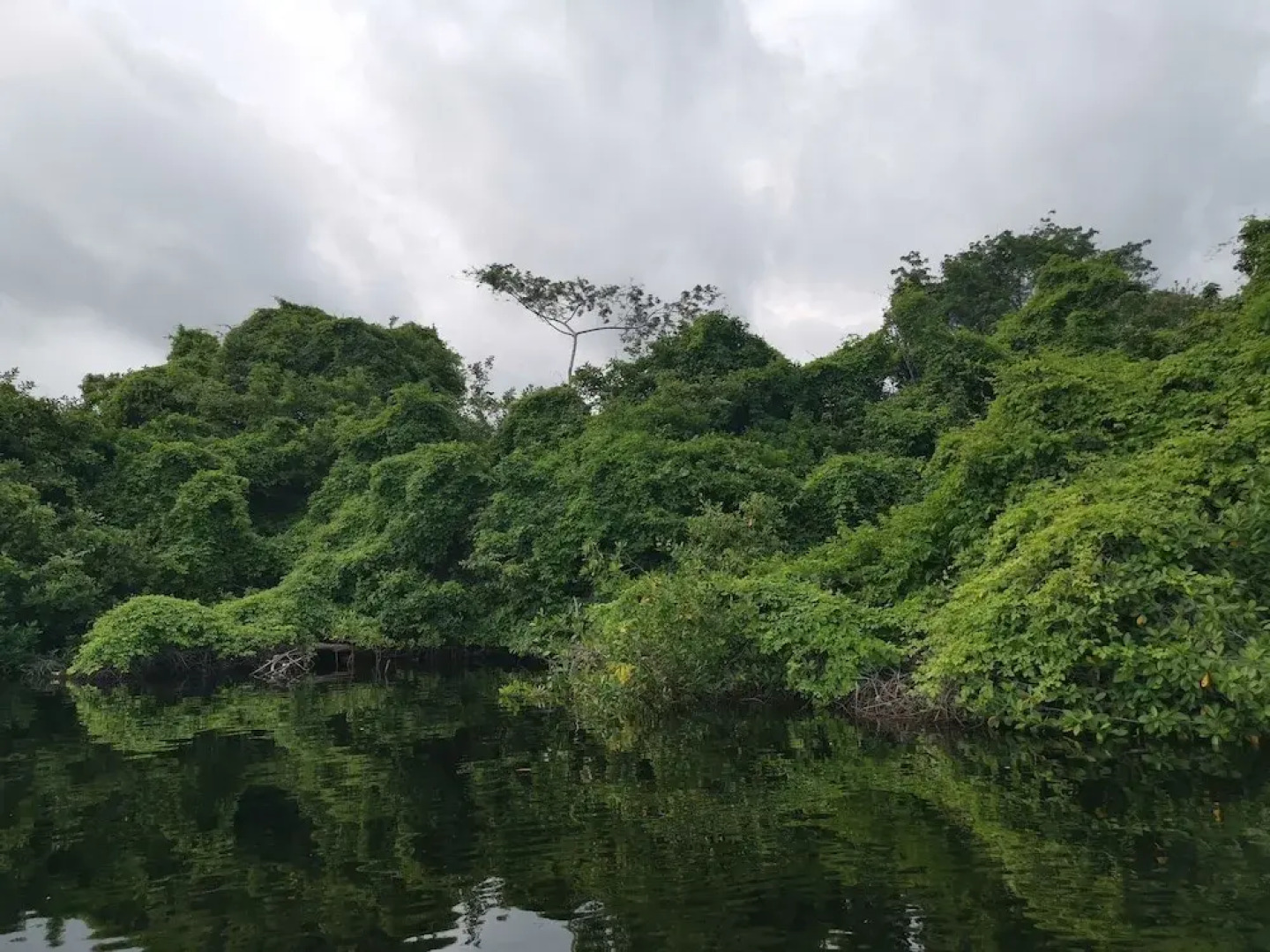 Cabañas Casa de Agua
