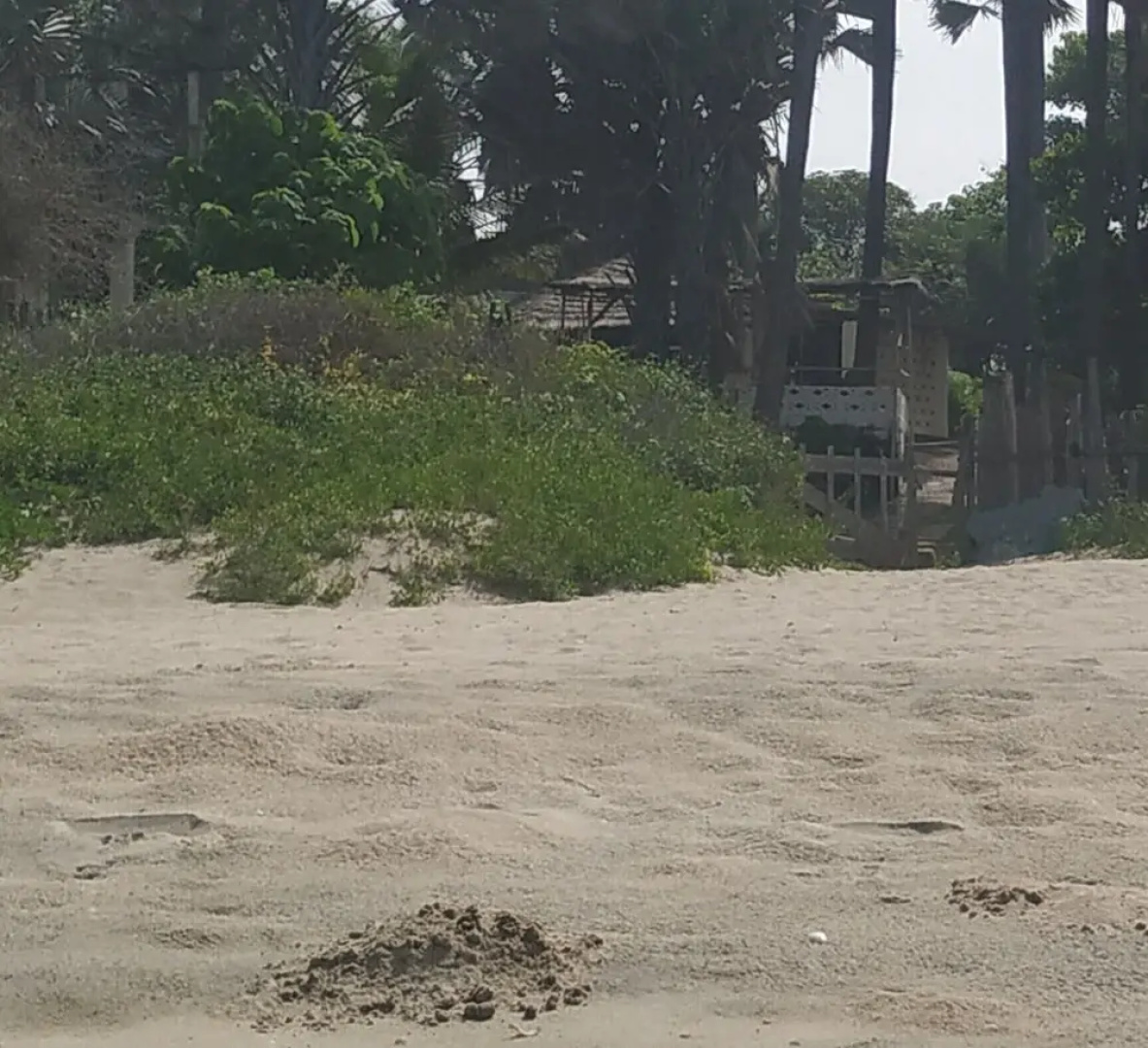 Unspoiled South Gambia Paradise