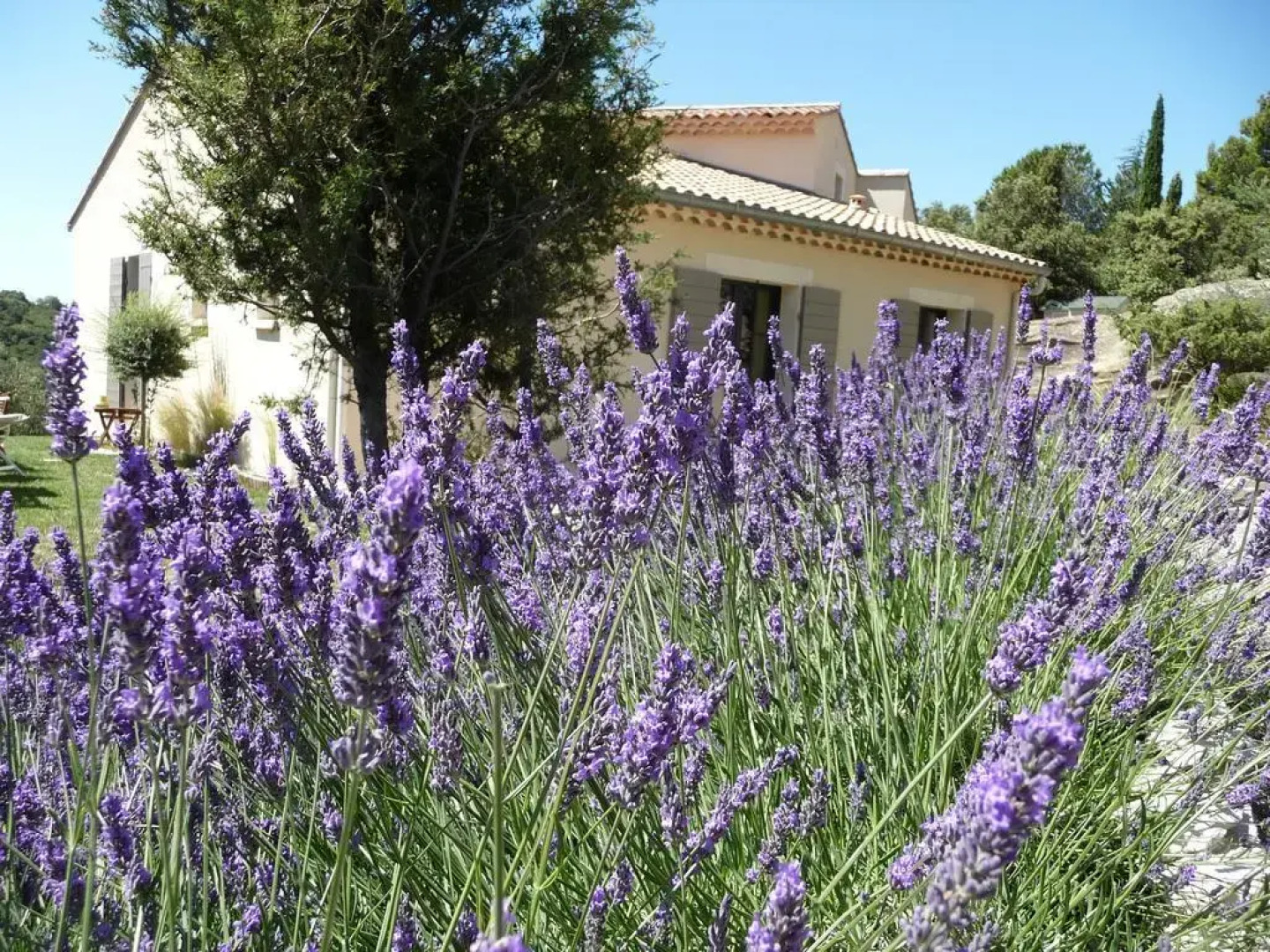 Chambres dhôtes lOléa de Romane