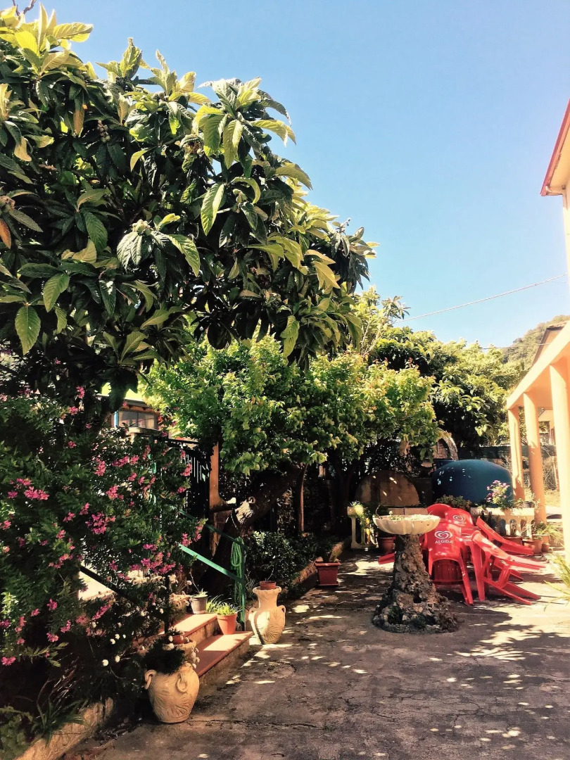 Hotel Ristorante La Mimosa