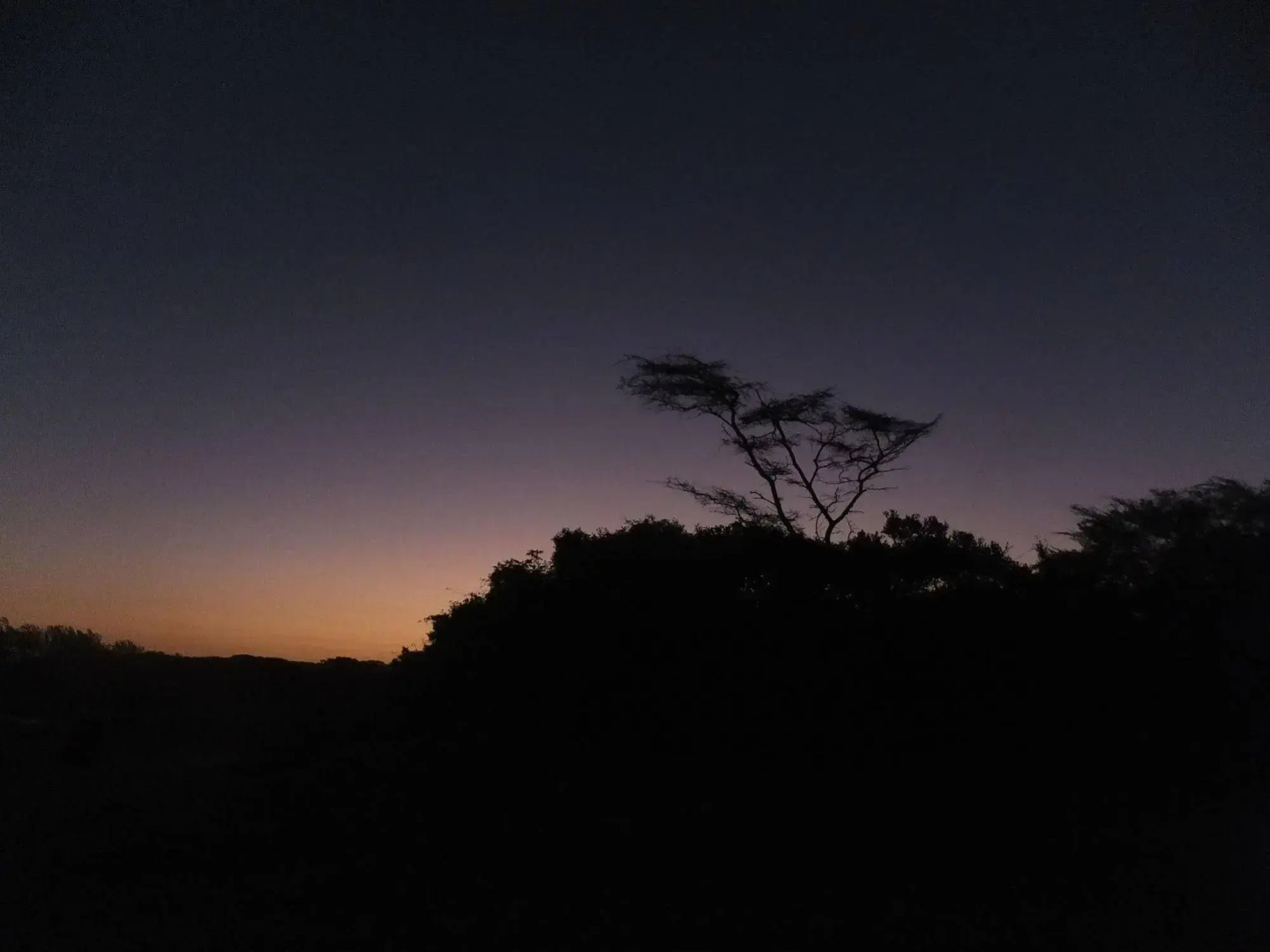 St. Lucia Kingfisher Lodge