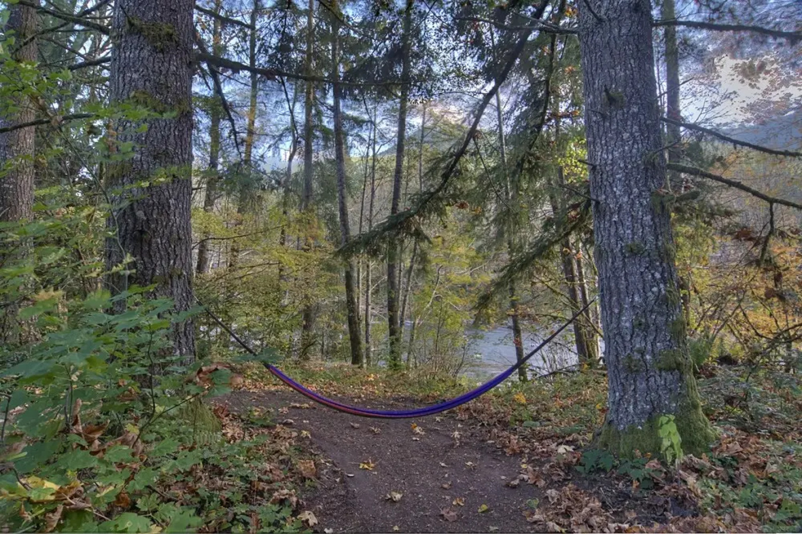 Mysty Mountain Cabin with Hot Tub