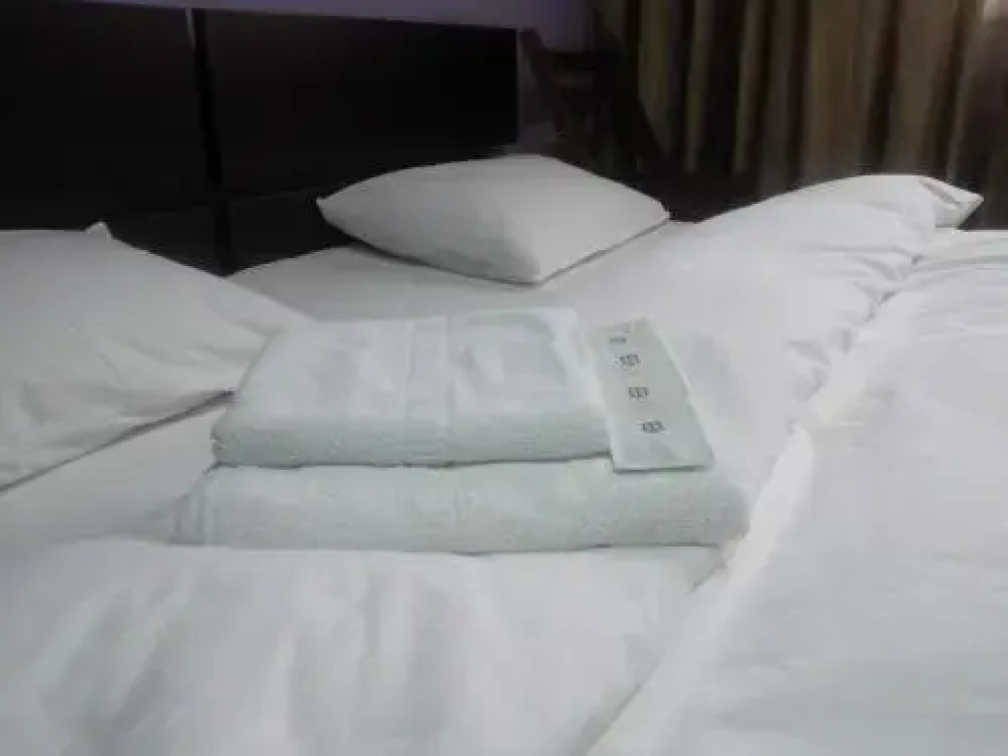 Lions Studio Dristor