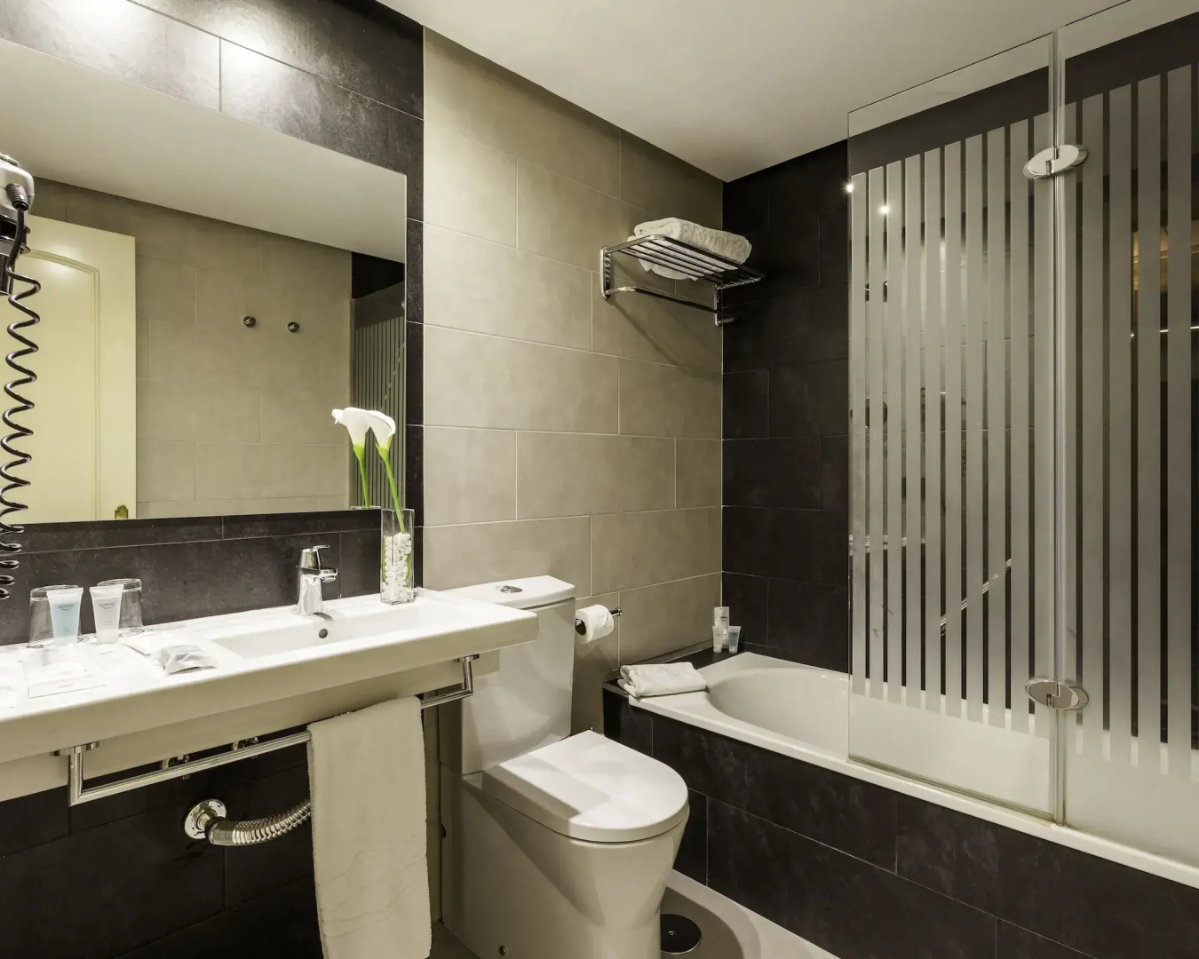 Hotel ILUNION Suites Madrid