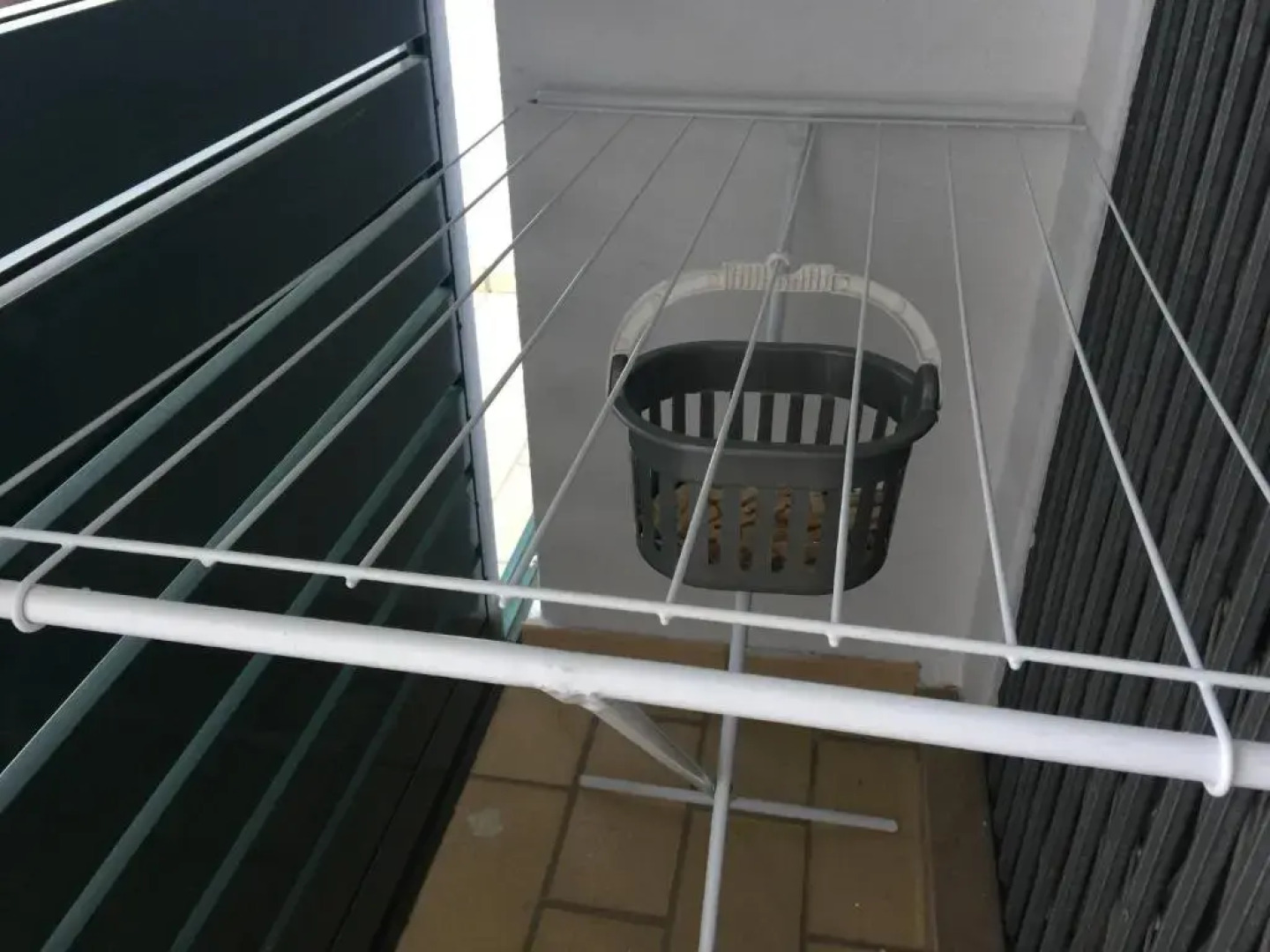 Peixe and Barco Studios