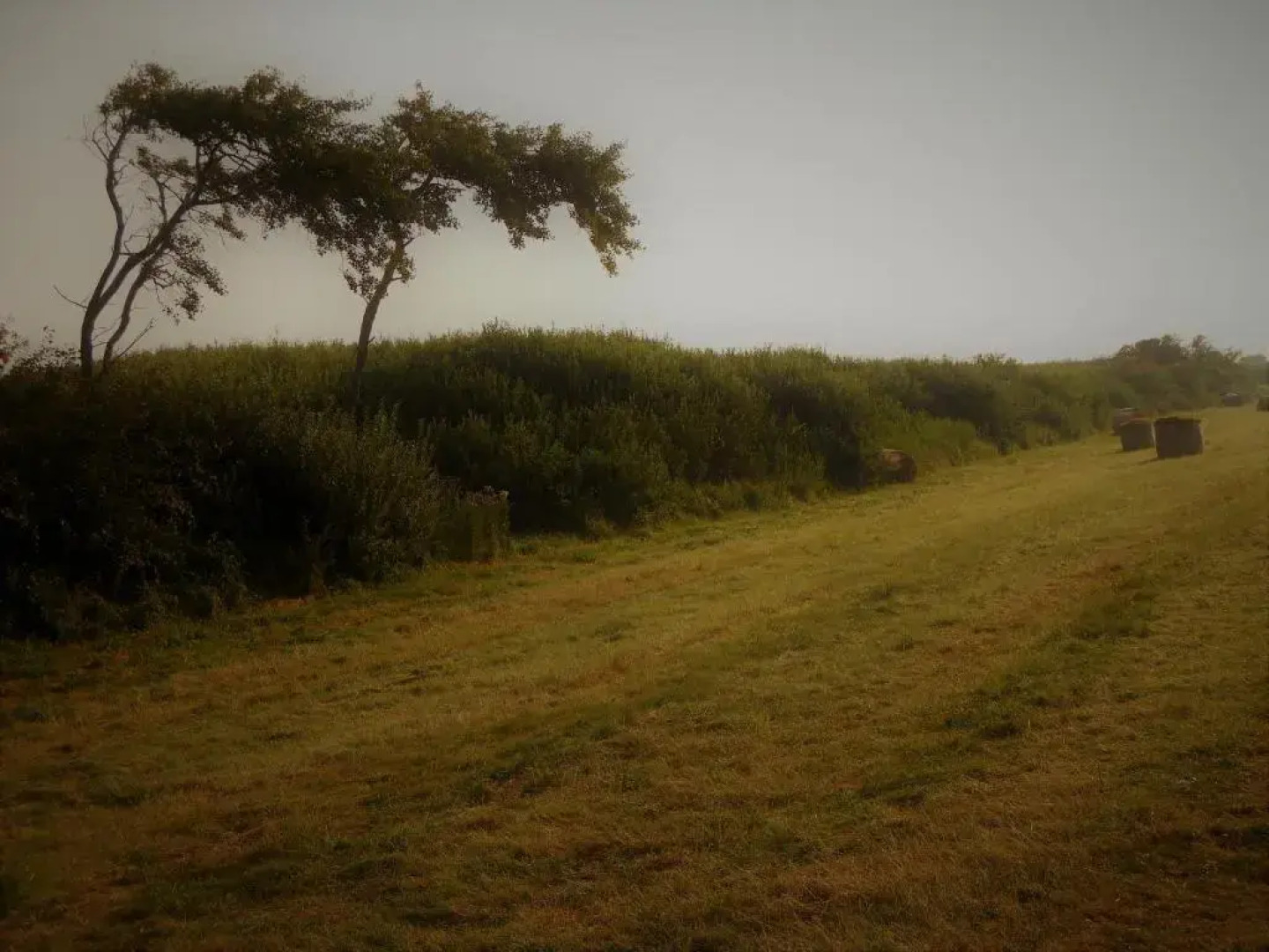 Ferienwohnungen Parkstraße