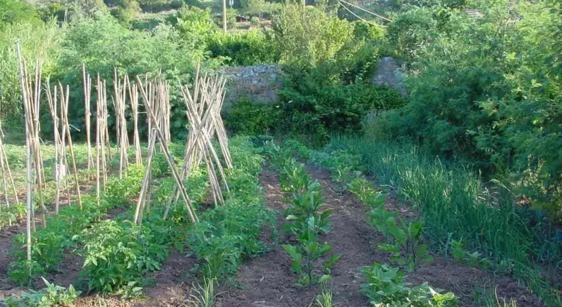 Agriturismo la Lecciola