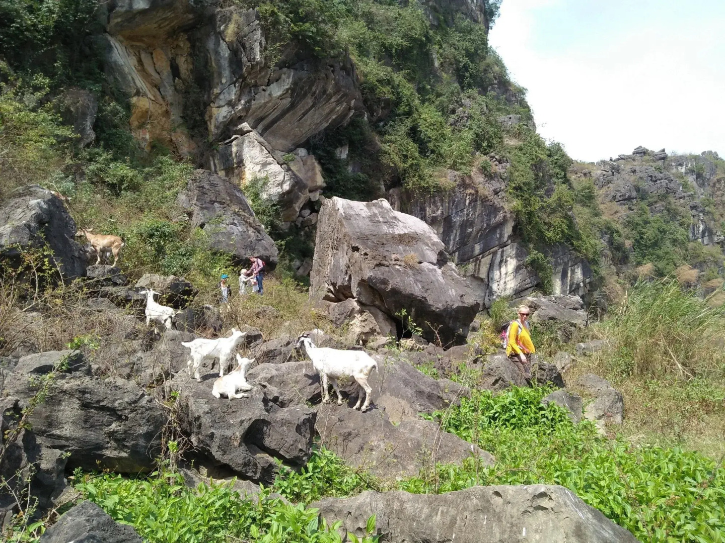 Ninh Binh Family Homestay