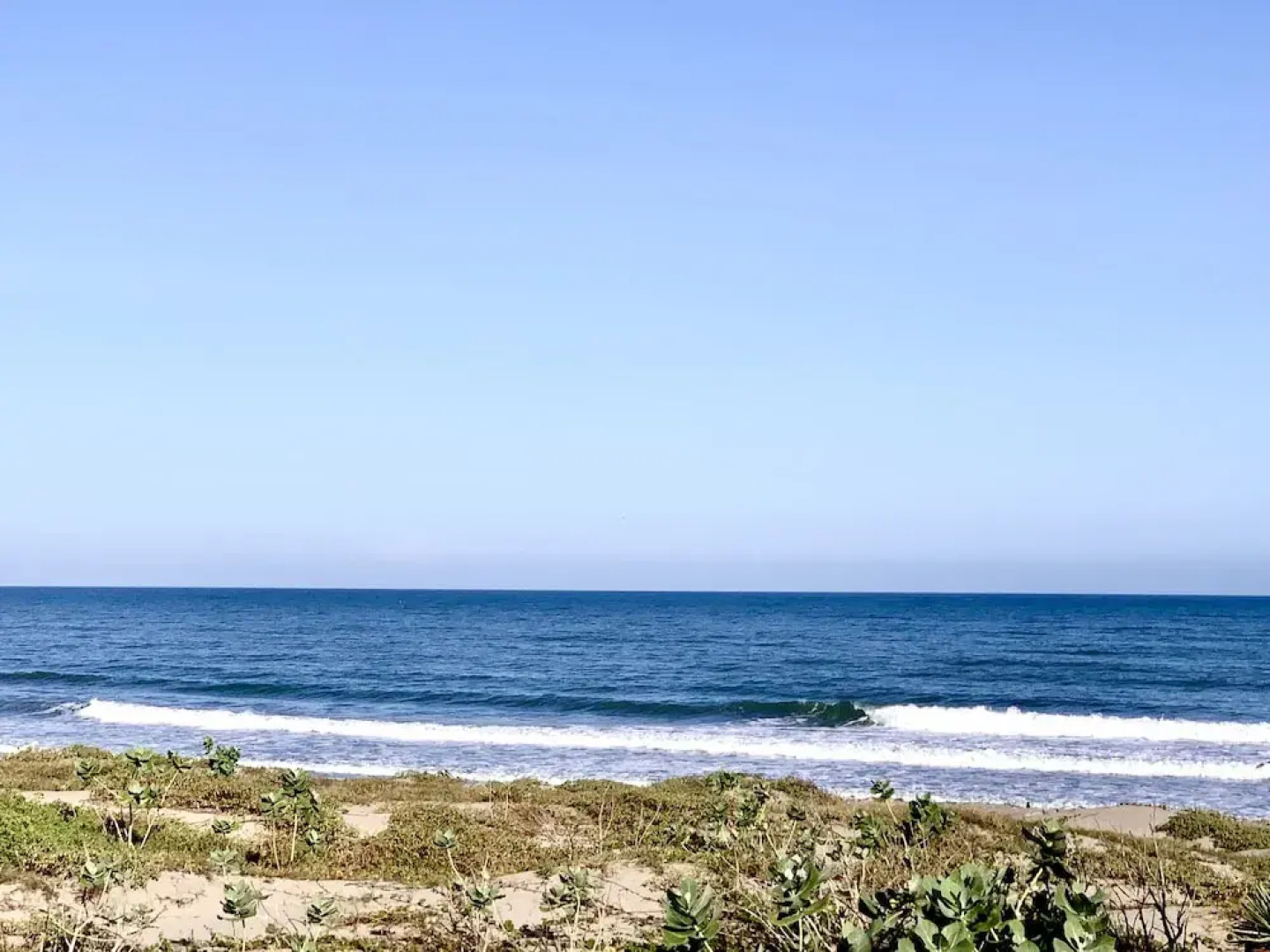 Ecoxata - Adults Only