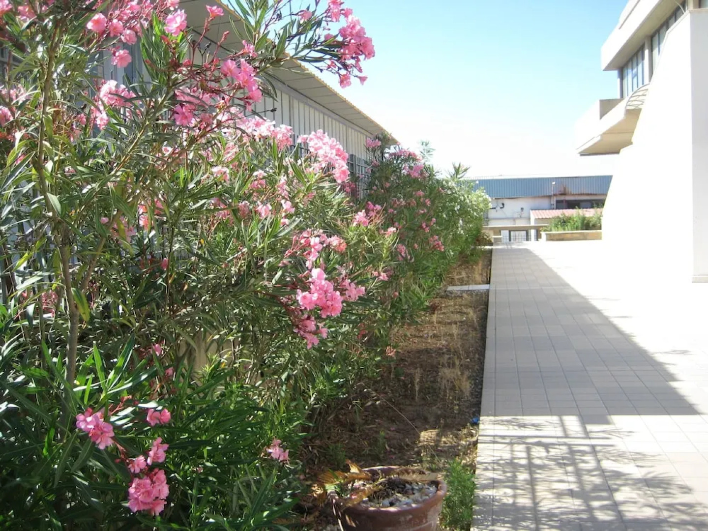 Al Kaos da Pirandello - Apartments