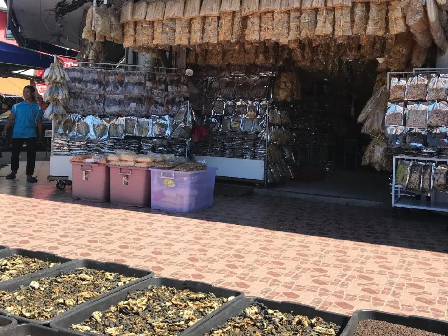 Iskandar Sinsuran Homestay