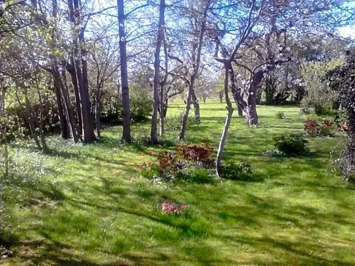 Moen Oekologisk Bed & Breakfast